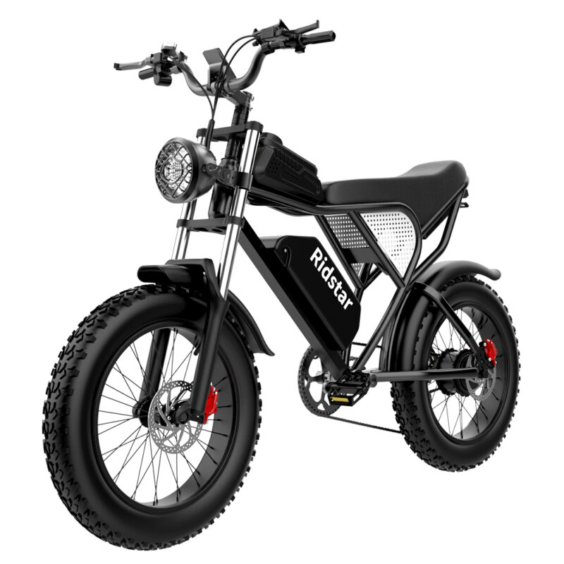 Big tire sales electric bicycle